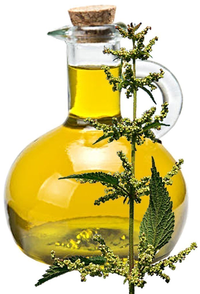 Nettle Oil image 0