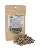 Pine Buds - 1.2 oz (35 g) - Dried Buds to Support Respiratory & Seasonal Wellness