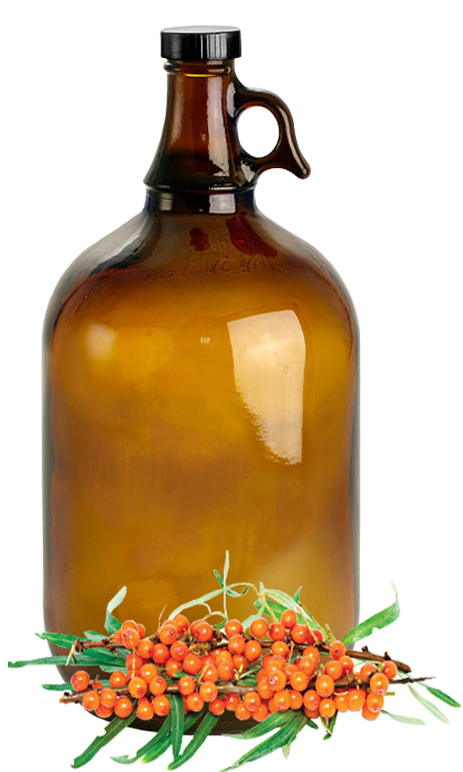 Sea Buckthorn (external) image 0