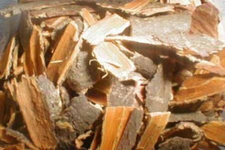 Buckthorn Bark image 0