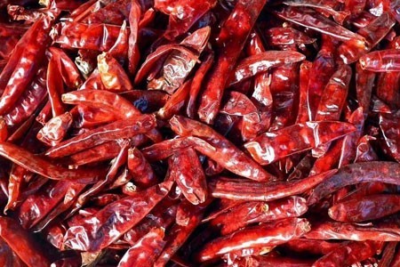 Chili Pepper image 0