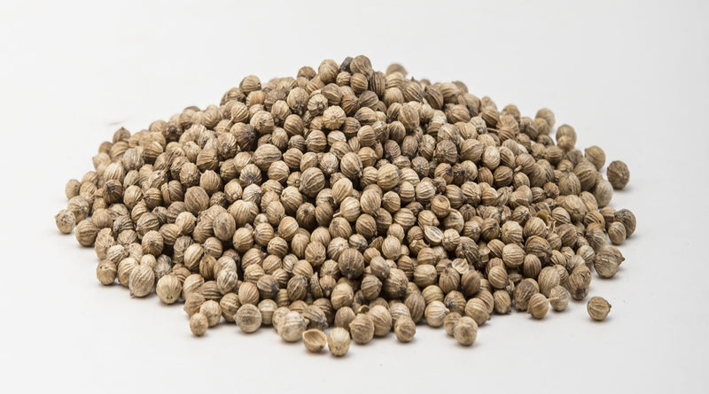 Coriander Seed