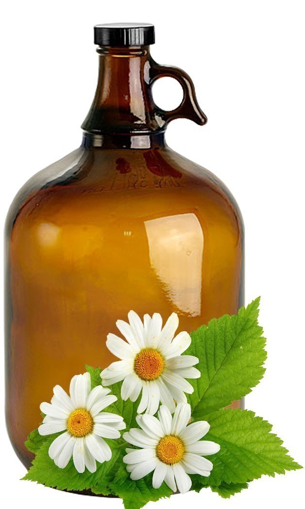 Chamomile image 0