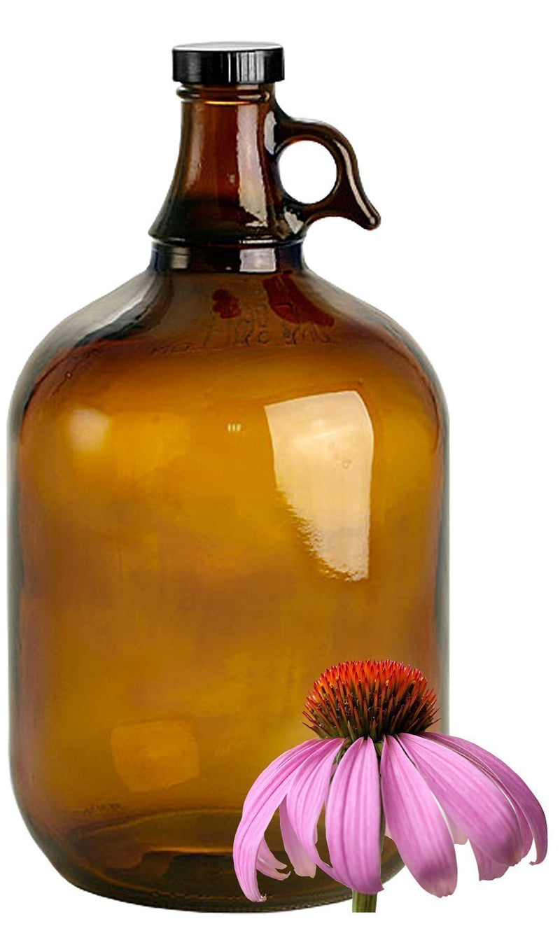 Echinacea image 0