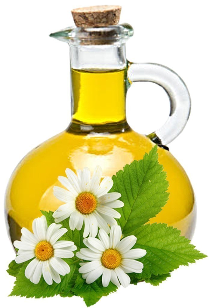 Chamomile Oil image 0