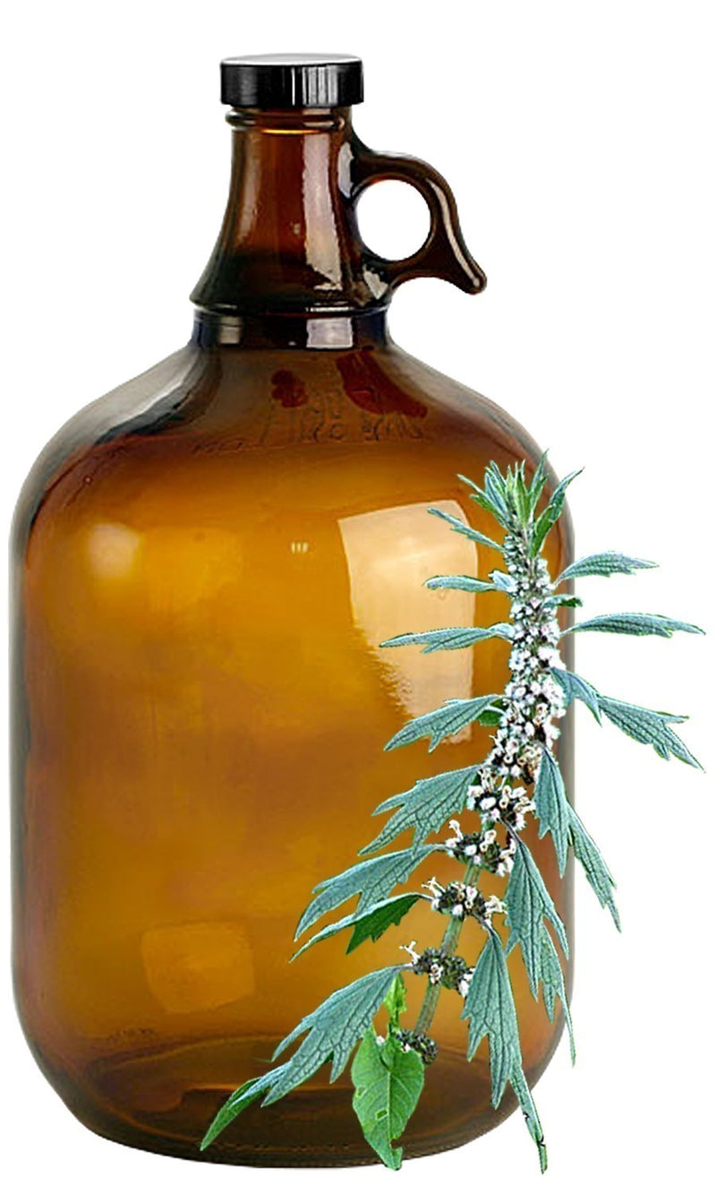 Motherwort image 0