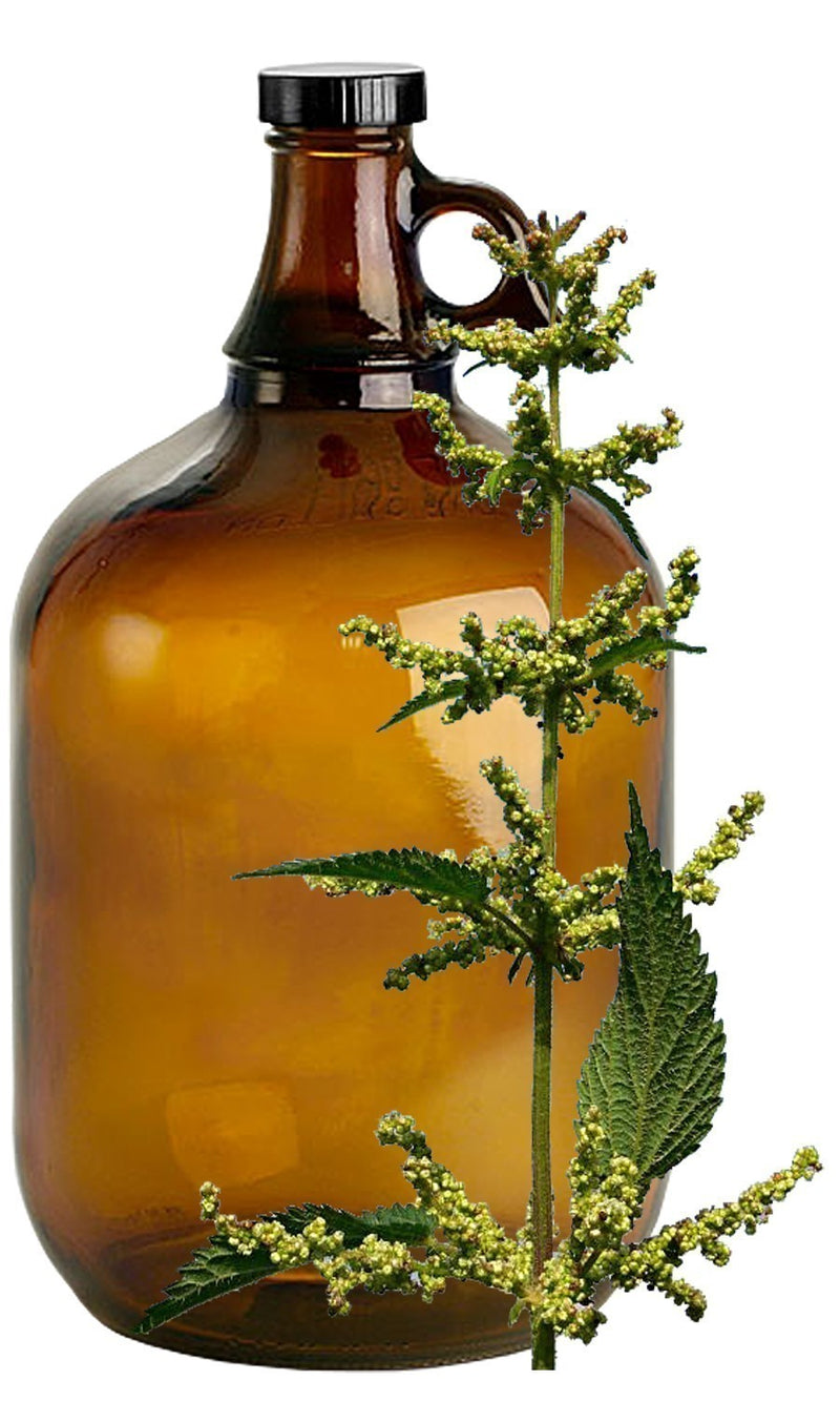 Nettle image 0