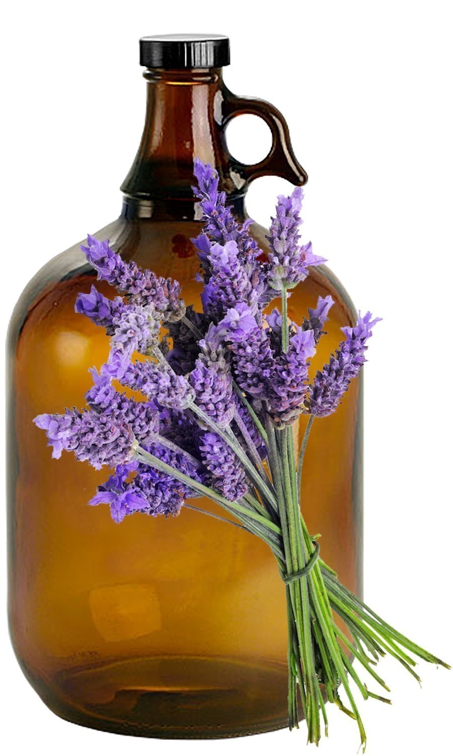Lavender image 0