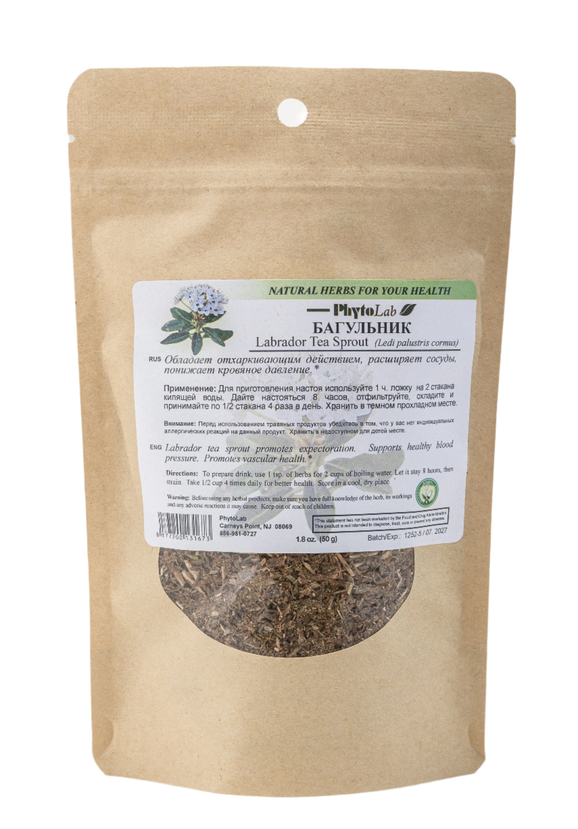 Labrador Tea Sprout